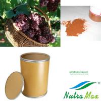 Large picture Grape seed Extract 95% OPC/ Polyphenols