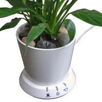 Large picture USB flowerpot