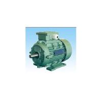 Large picture Y2 Series three phase Electric Motors