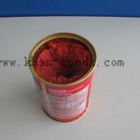 Large picture tomato paste 400g