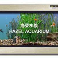 Large picture electronic wall-hanging fish tank