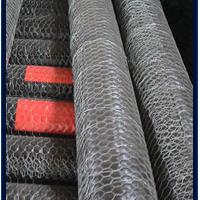 Large picture Hexagonal wire netting/Stainless steel
