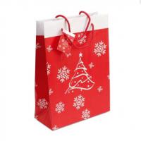 Large picture Xmas gift paper bag