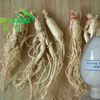 Large picture Ginseng Root Extract