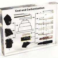 Embedded Specimen - Coal and Carbonization