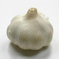 Large picture Garlic Extract