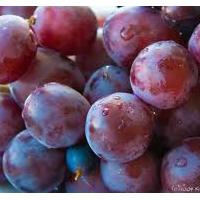 Large picture Grape Skin Extract