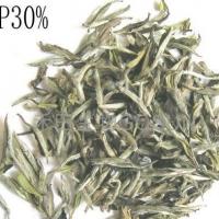 Large picture White Tea Extract