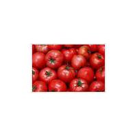 Large picture lycopene