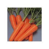 Large picture beta-carotene