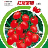 Large picture Tomato Seed