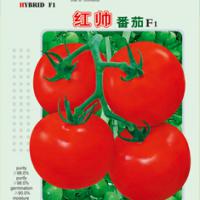 Large picture Tomato Seed