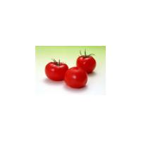 Large picture Lycopene 6% by SFE-CO2