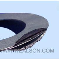 Large picture Graphite composite gasket
