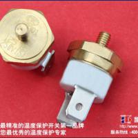 Large picture DC motor thermal protector from dg kain