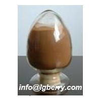 Large picture Pumpkin Seed extract