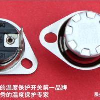 Large picture steam iron thermostat from dg kain