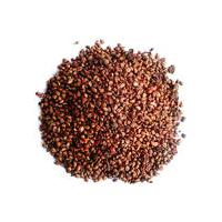 Large picture Graoeseed Extract