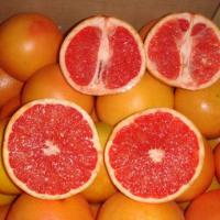 Large picture Grapefruits