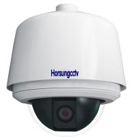 Large picture High Speend Dome Camera