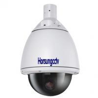 Large picture High Speend Dome Camera