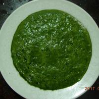 Large picture basil sauce