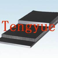 Large picture Heat Resistant Conveyor Belt