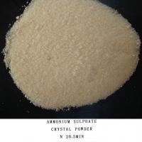Large picture Ammonium sulfate powder