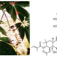 Large picture Horse Chestnut extract