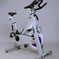Large picture fitness bike