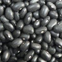 Large picture Black Kidney Beans(BKB)