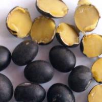 Large picture Black Soybean( yellow  inside)