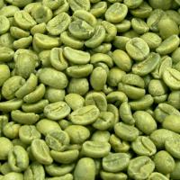 Large picture Green Coffee Bean extract Chlorogenic Acid