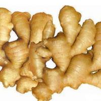Large picture Ginger extract Gingerol