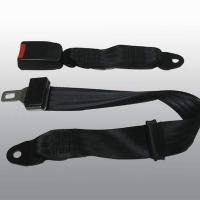 Large picture simple two point safety belt
