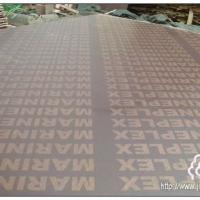 Large picture marineplex film faced plywood