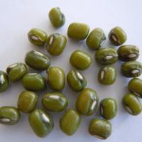 Large picture Green Mung Beans