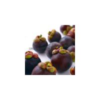 Large picture Mangosteen Extract