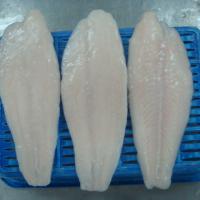 Large picture FROZEN PANGASIUS WELL TRIMMED FILLET