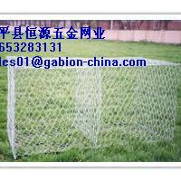 Large picture hexaganol wire mesh