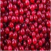 Large picture Cranberry P.E. Anthocyanidin