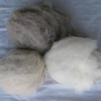 Large picture dehaired pure cashmere fiber