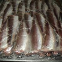 Large picture HAKE HGT