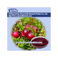 Large picture Cranberry extract
