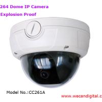Large picture H.264 Explosion Proof Dome IP Camera