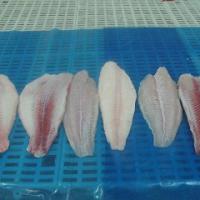 Large picture BASA UN-/WELLTRIMMED  FILLET FOR EXPORT