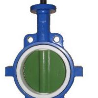 Large picture butterfly valve Disc & Body Casting