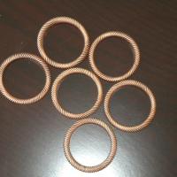 Large picture Canted Coil Springs,Slanted Coil Springs