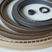 Large picture Spring Energized PTFE Seals