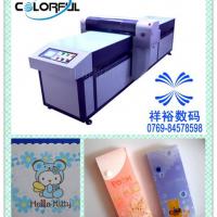 Large picture economic PVC printing machine